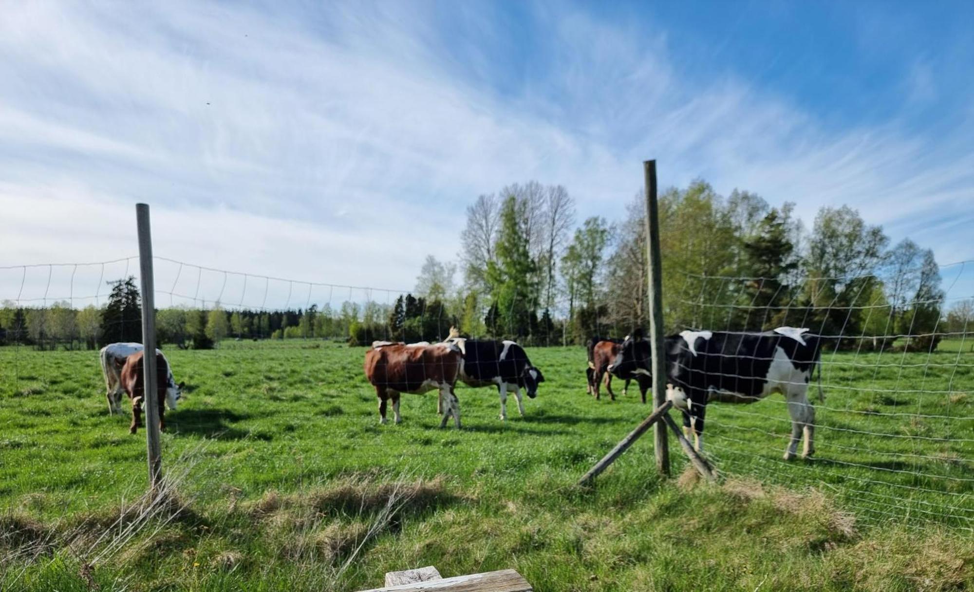 Kaggestorps Gard Ferienhaus *